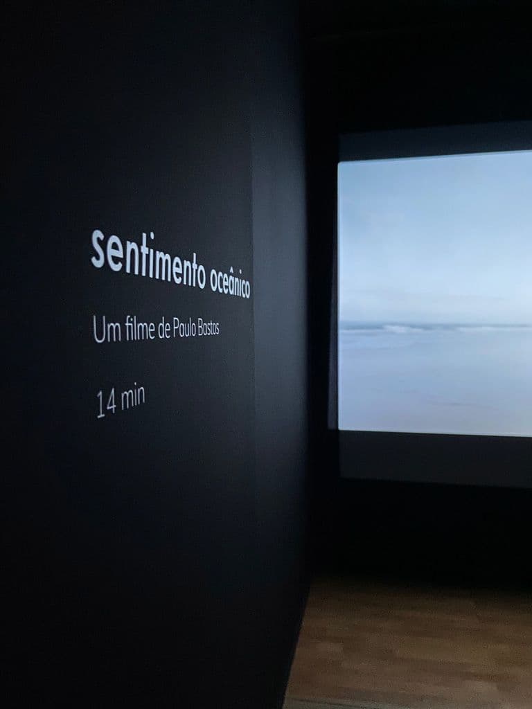 Sentiment océanique