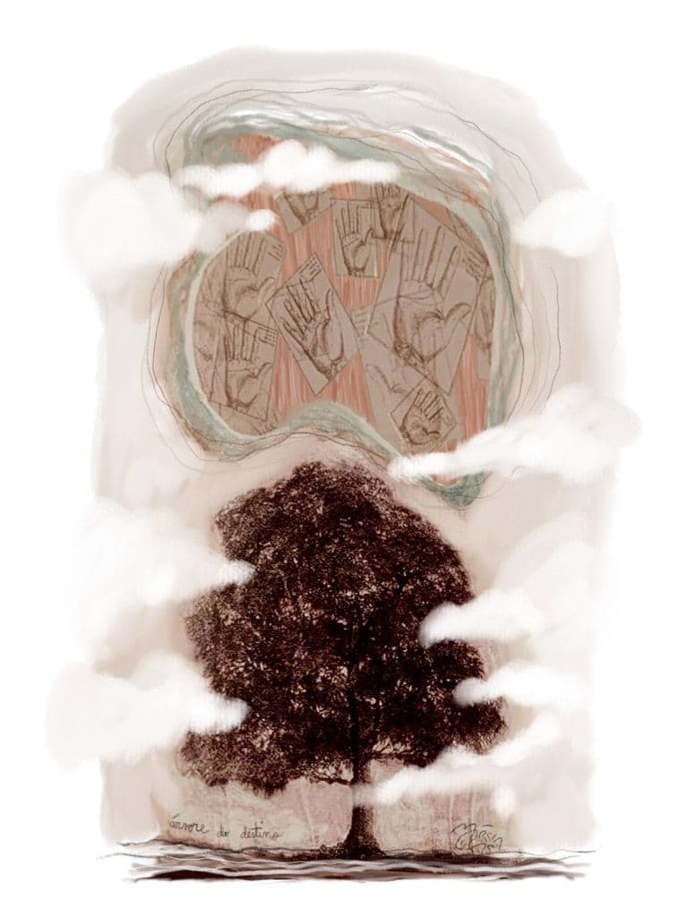 Sobre Aquela Árvore